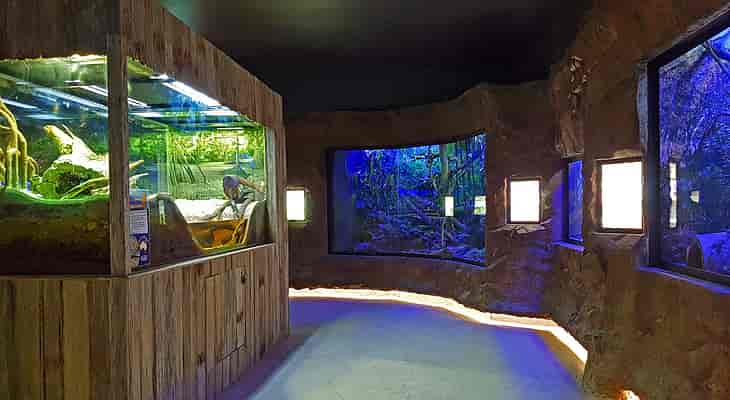 Critter Cave