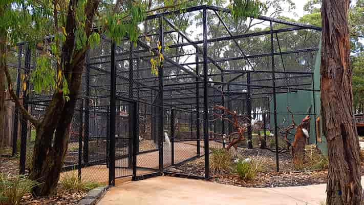 Wildlife Trail - Cockatoo