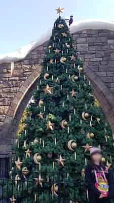The Wizarding World of Harry Potter