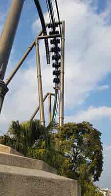Flying Dinosaur