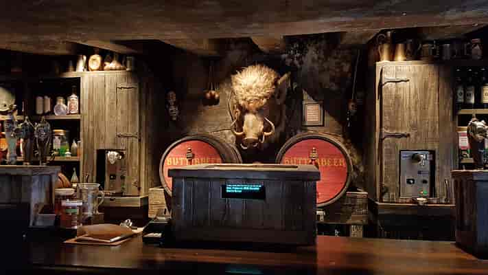 The Wizarding World of Harry Potter