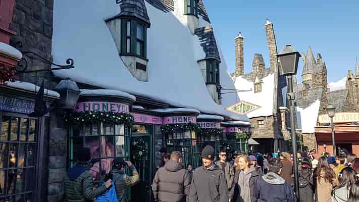 The Wizarding World of Harry Potter