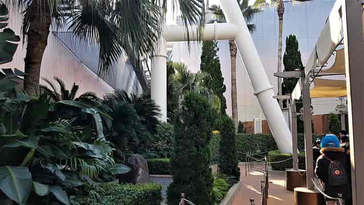 Hollywood Dream