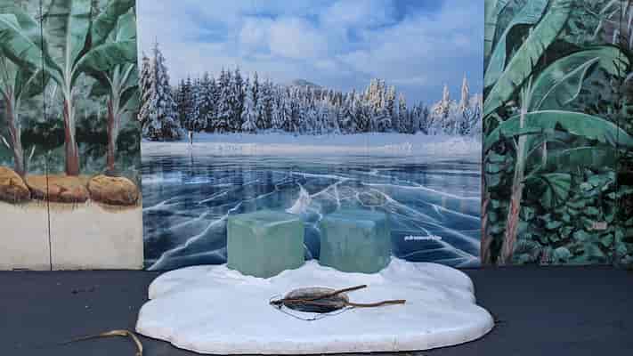 Dreamworld Winterfest