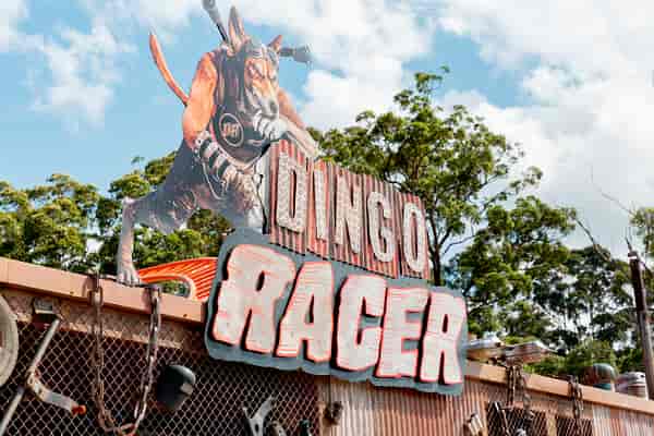 Dingo Racer