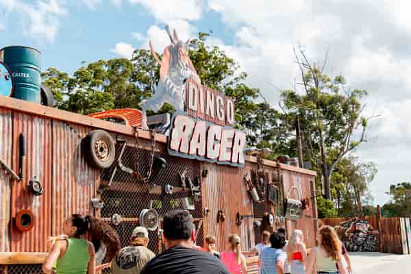 Dingo Racer