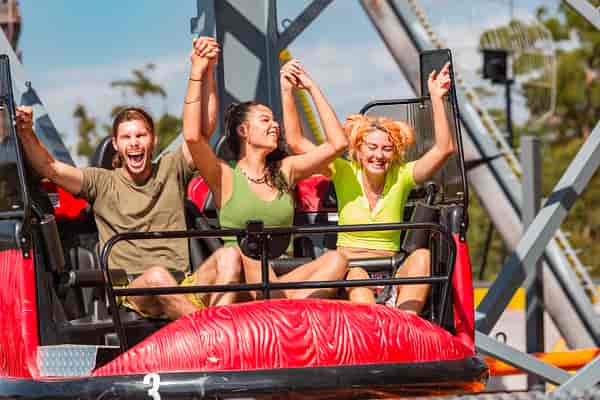 Dingo Racer