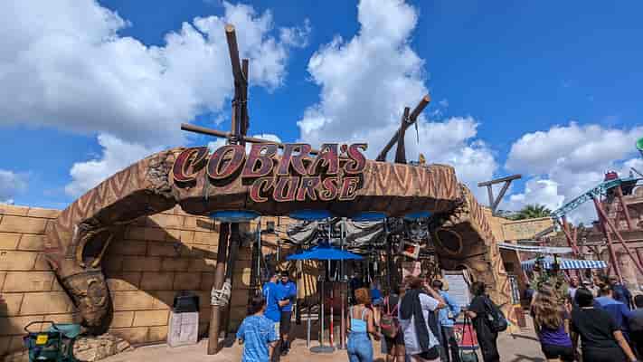 Cobra's Curse
