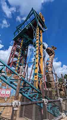 Cobra's Curse