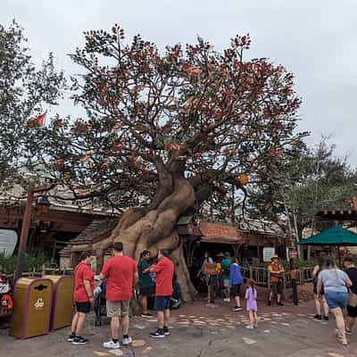 The Many Adventures of Winnie The Pooh